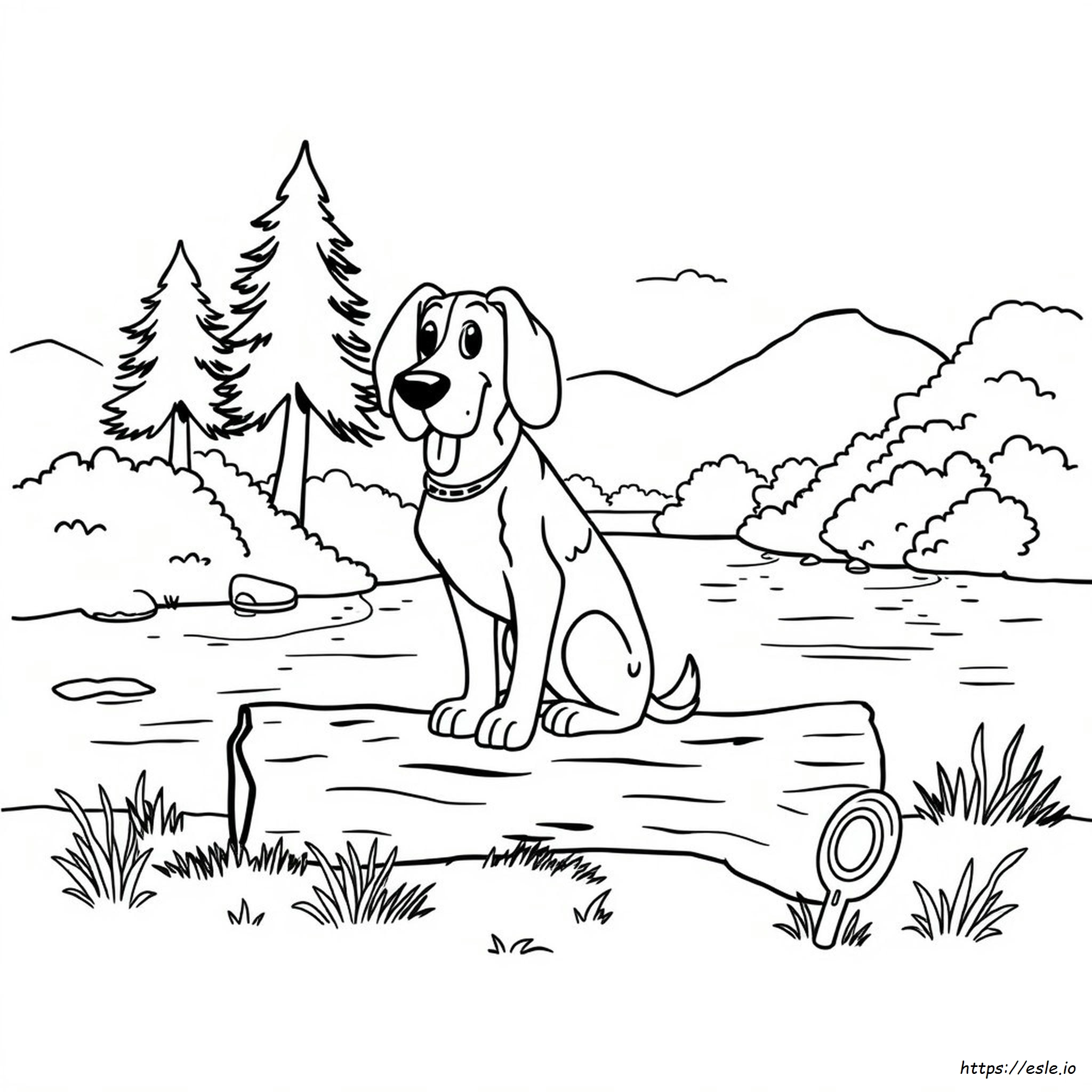 Dibujos De Huckleberry Hound Para Colorear