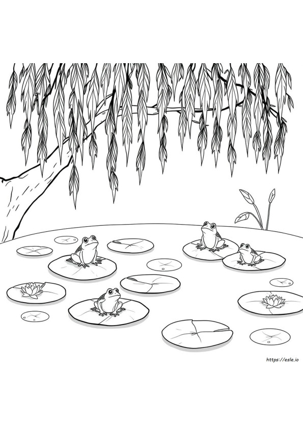 Pond Coloring Club