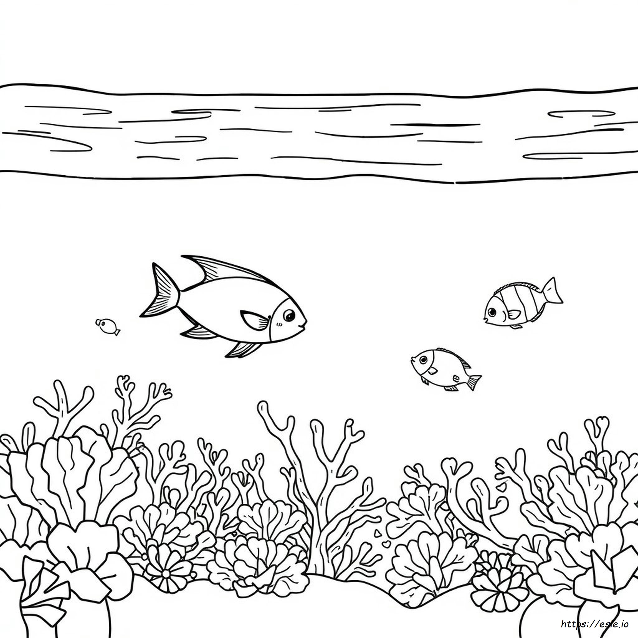 Ocean Life Coloring Pages For Adults