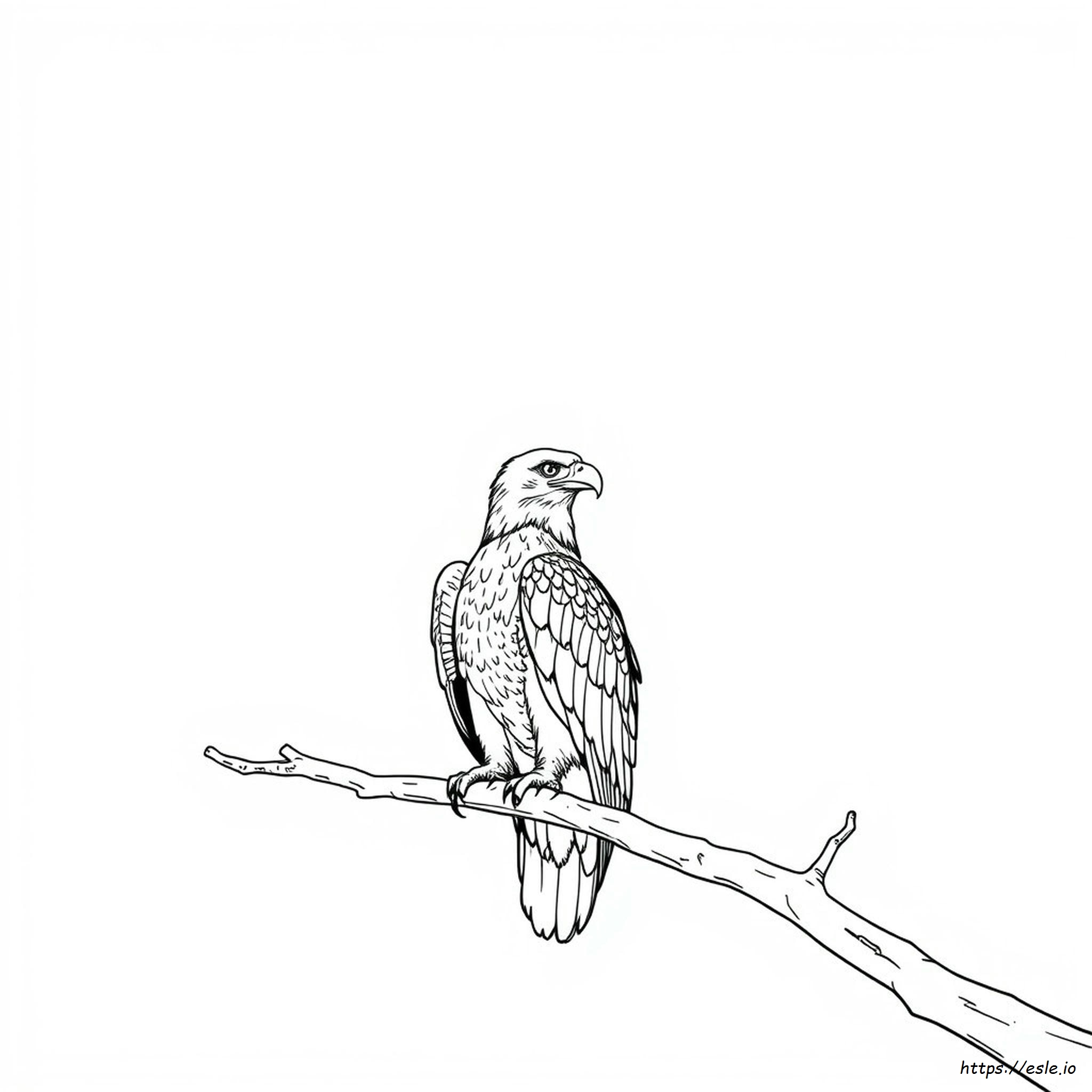 Coloring Page Of A Bald Eagle - Free Printable