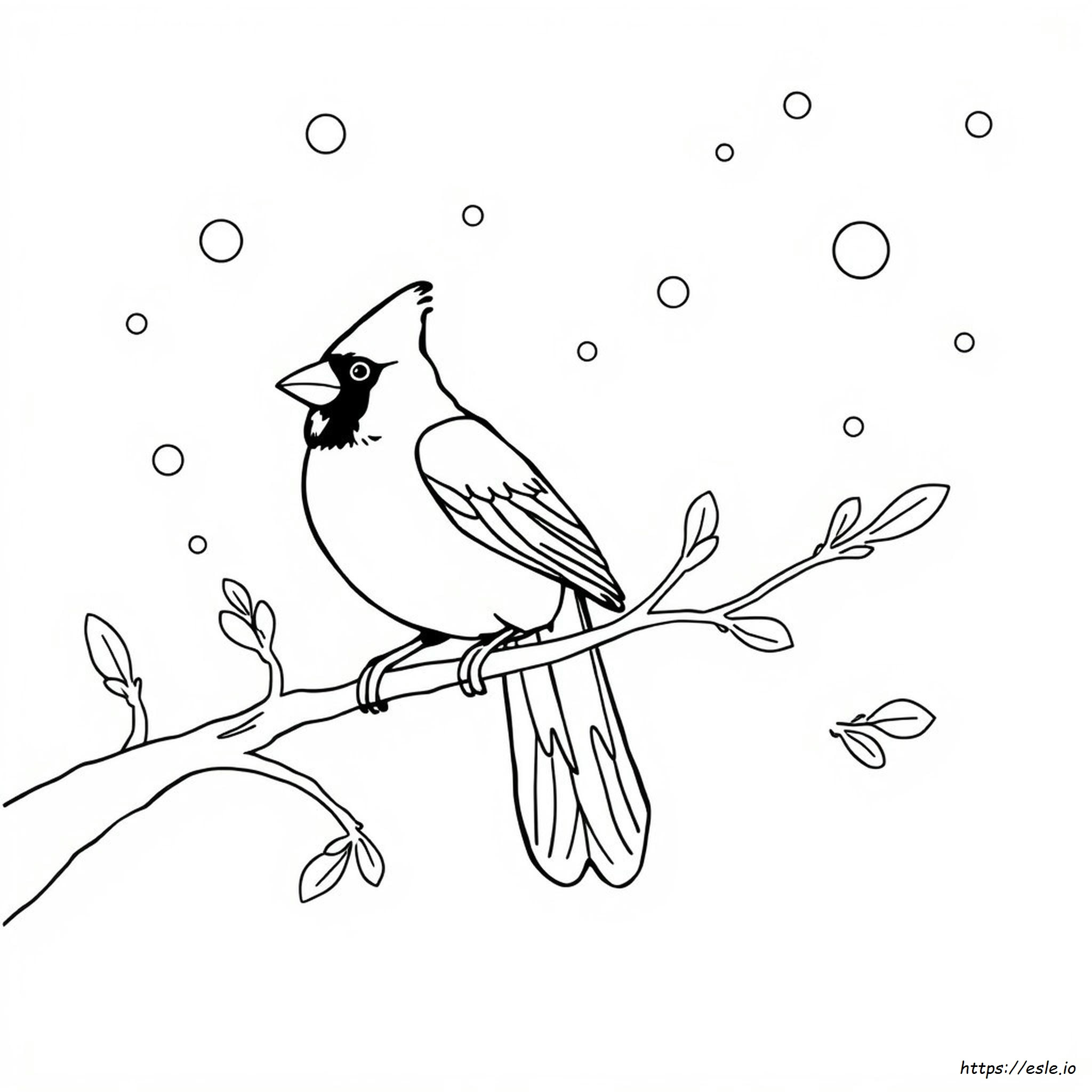 Cardinal Coloring Page