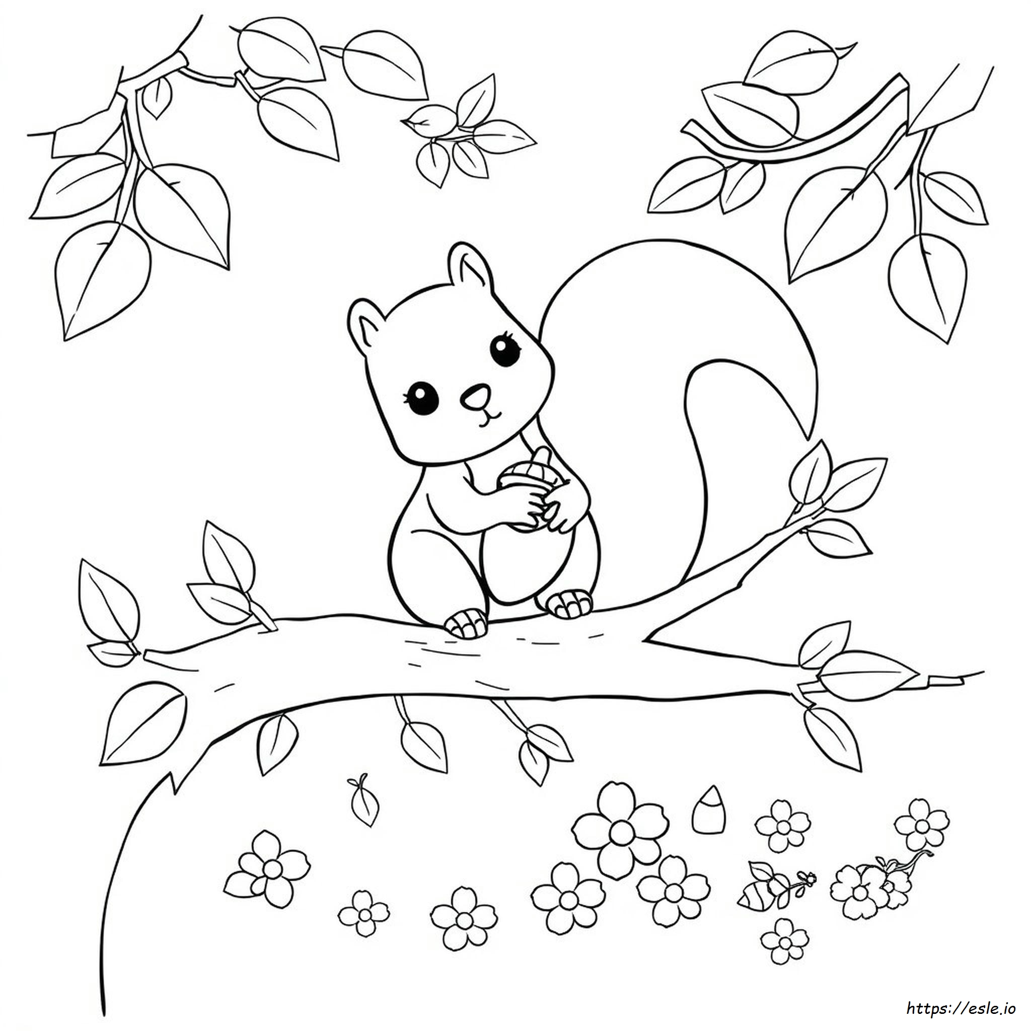 Scoiattolo Carino Da Colorare - Stampabile Gratis