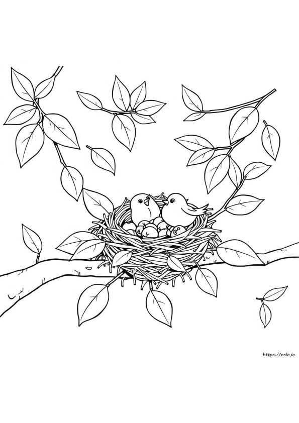 Coloriage Nid
