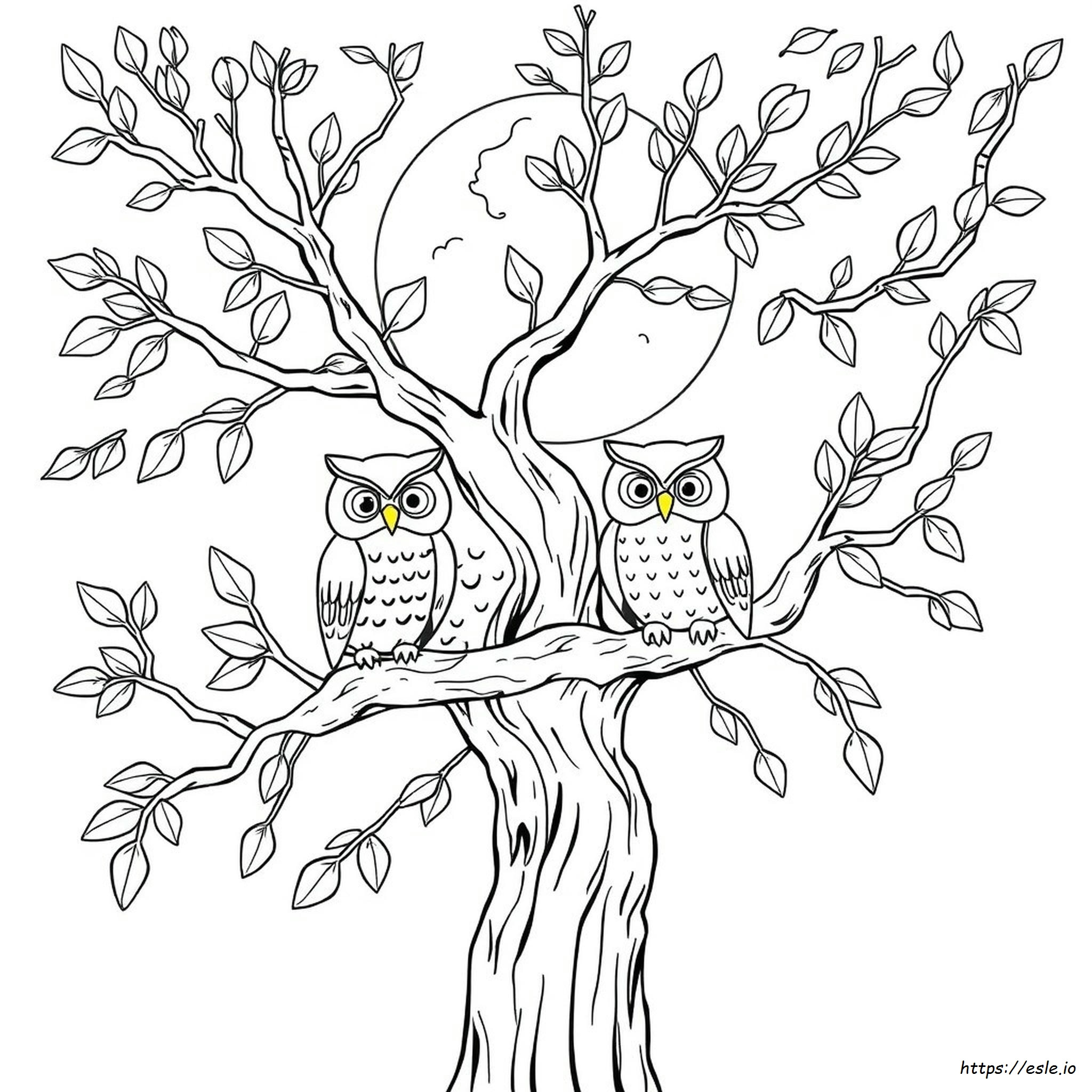 Owl In A Tree Coloring Page