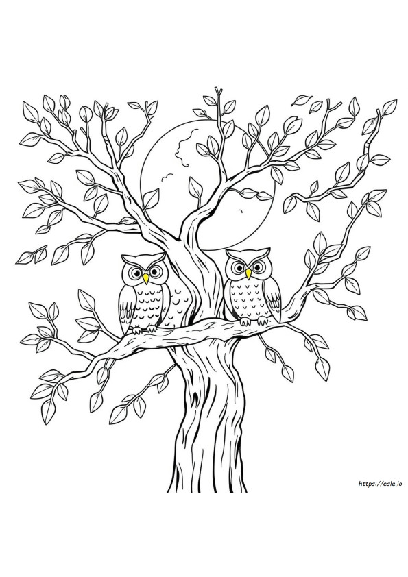 Owl In A Tree Coloring Page