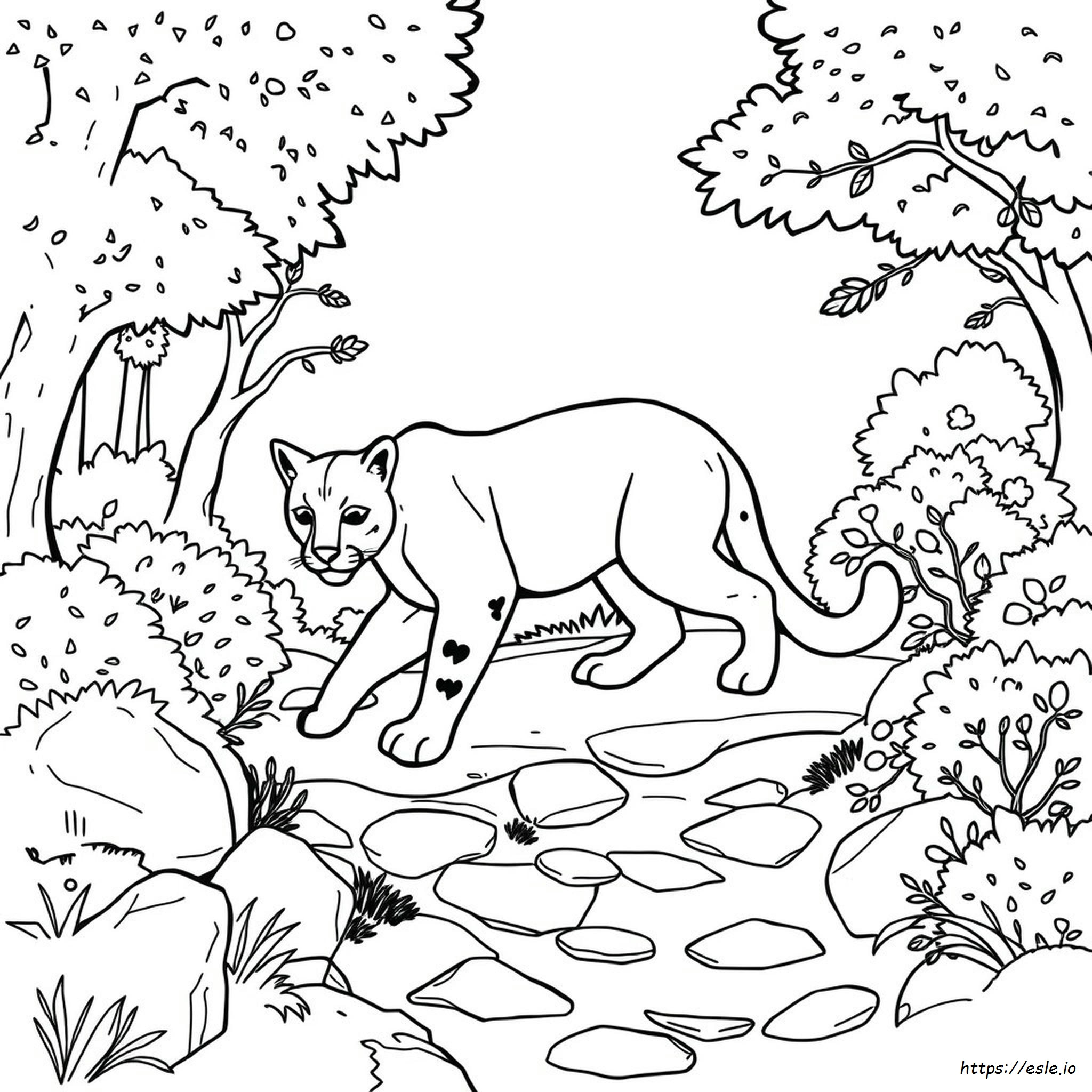 cougar pictures to color – Image 7