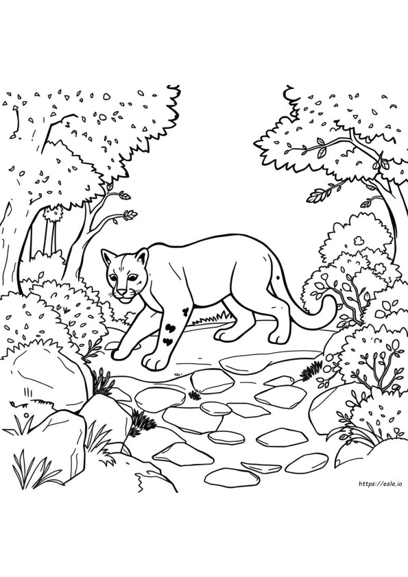 Gambar Mewarnai Cougar Dapat Dicetak