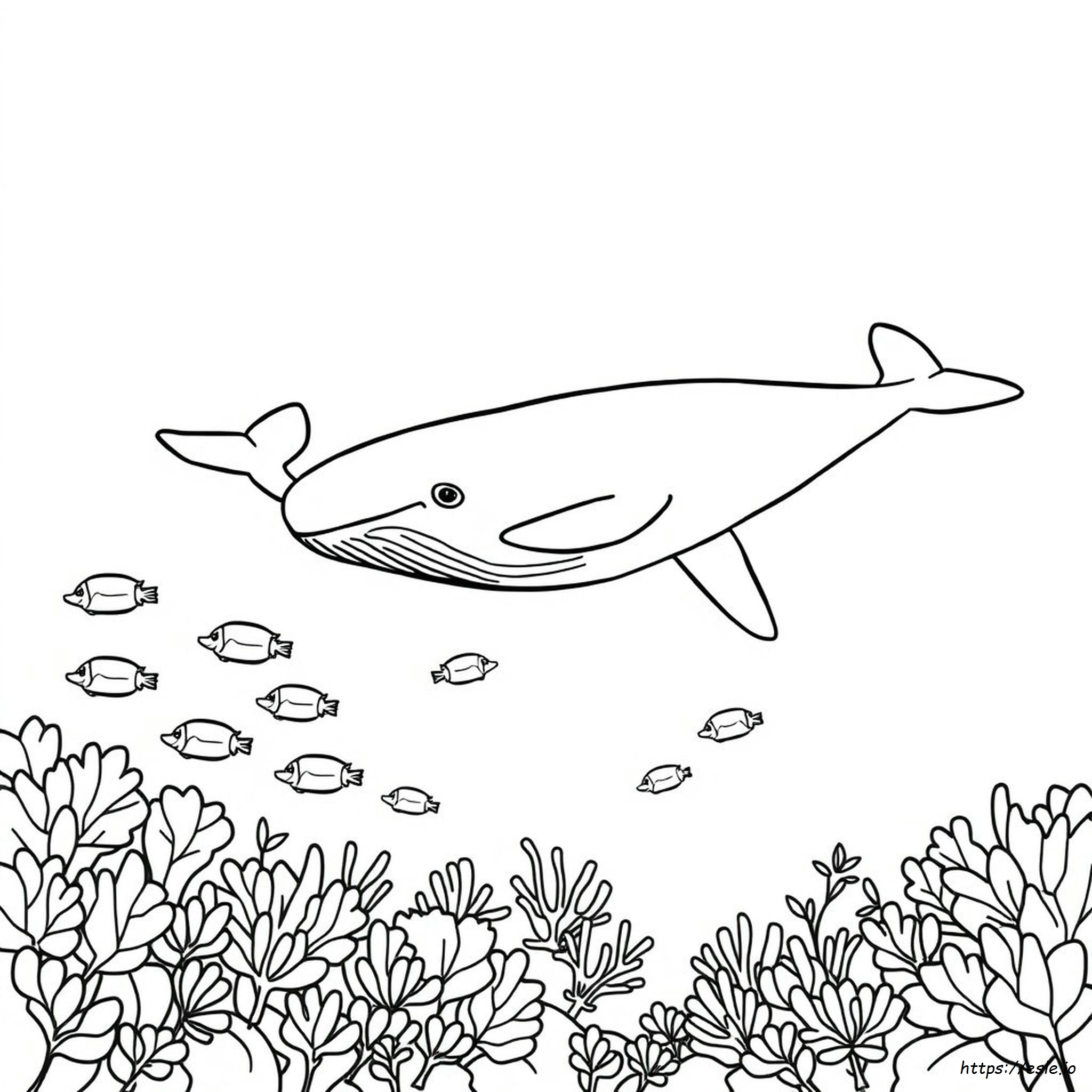 Dibujo de Ballena Para Colorear - Gratis Para Imprimir