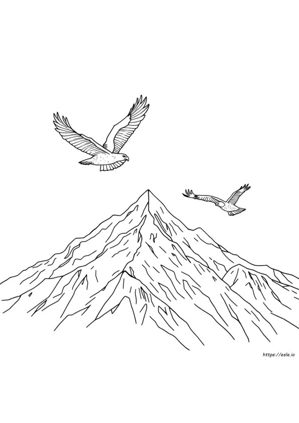ワシの塗り絵（ぬりえ）