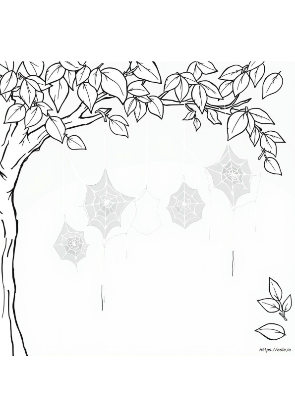 Coloriage Toile D'araignée