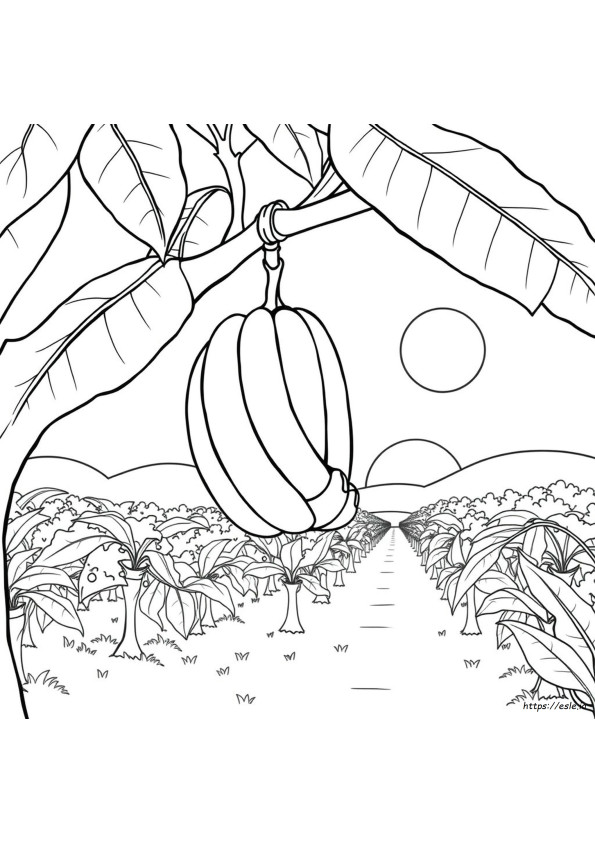 Plátano Para Colorear Imprimible