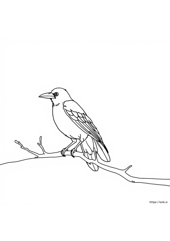 Free Crow Coloring Pages