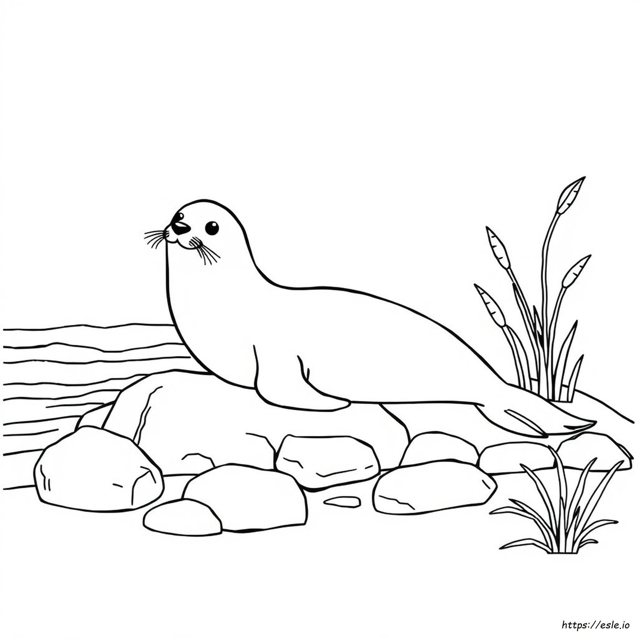 Disegno da Colorare Foca: Animale Marino da Stampare Gratis