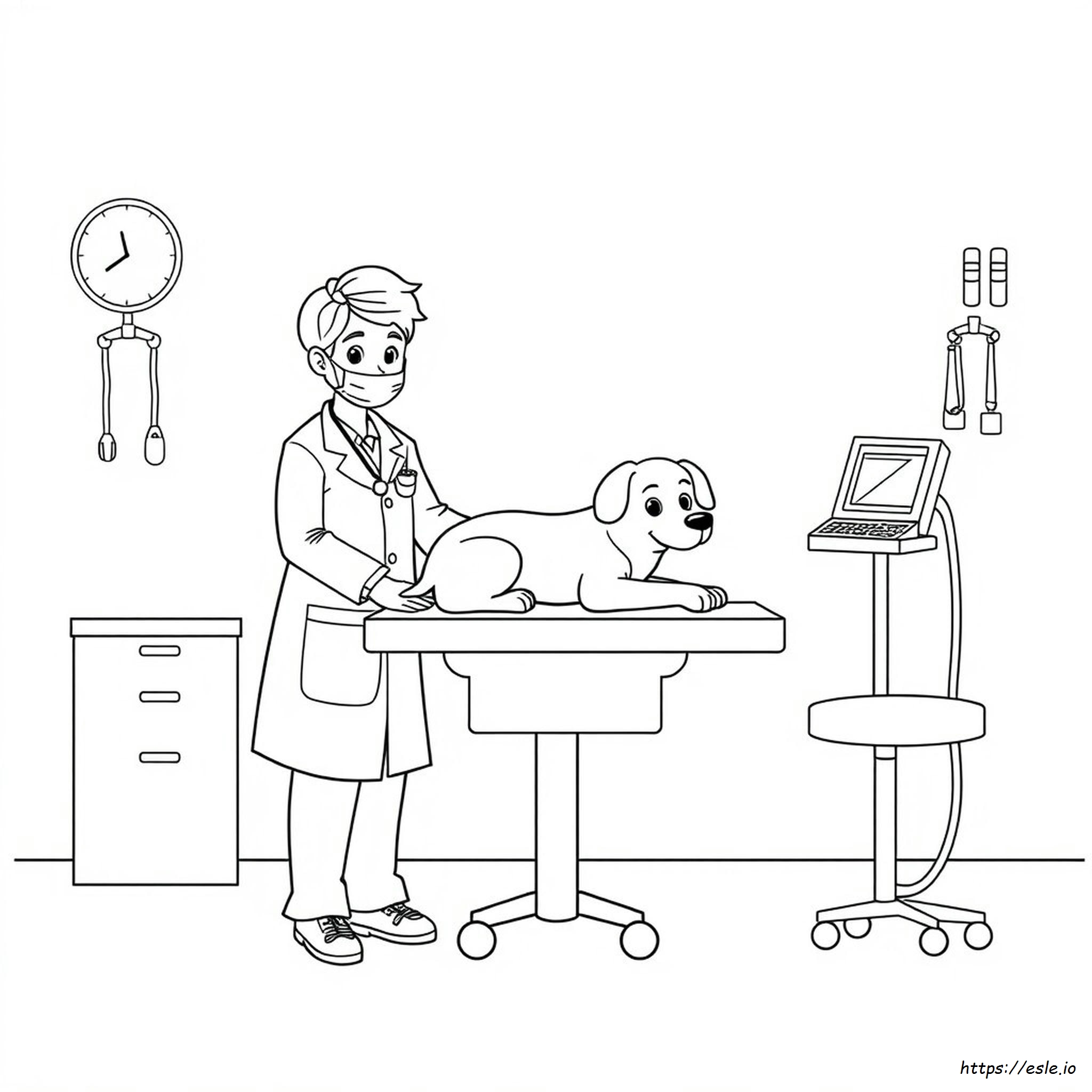 Veterinario Da Colorare