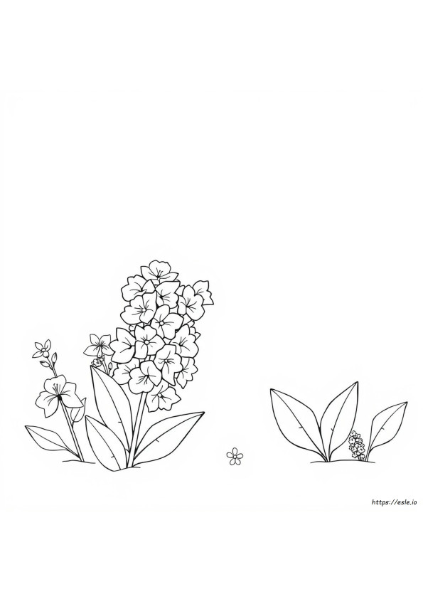 ライラック色ってどんな色？ぬりえ, 塗り絵, 塗り絵 無料