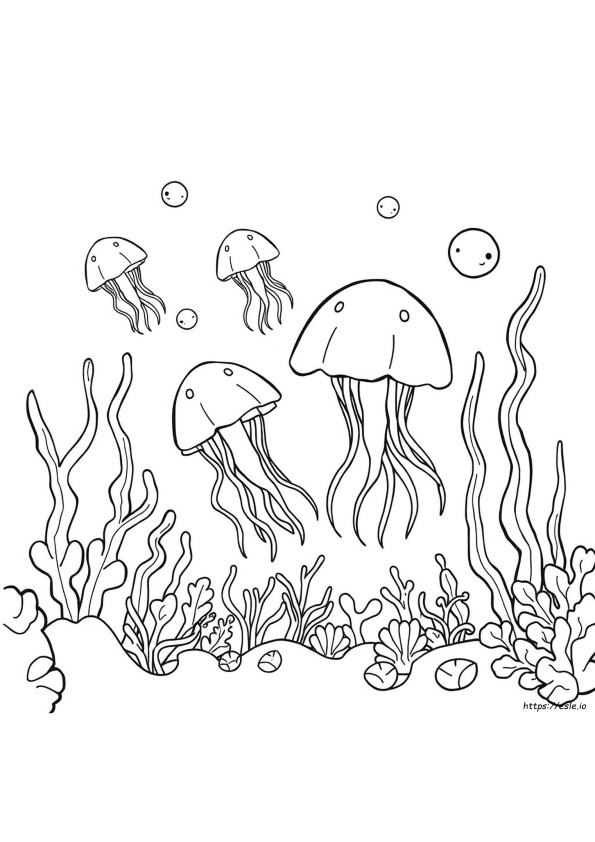 Kolorowanka Meduza