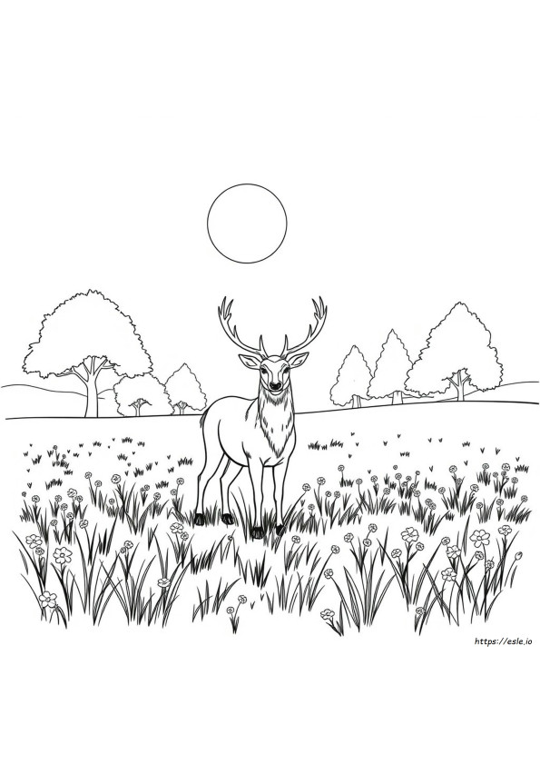 Coloriages De Cerfs