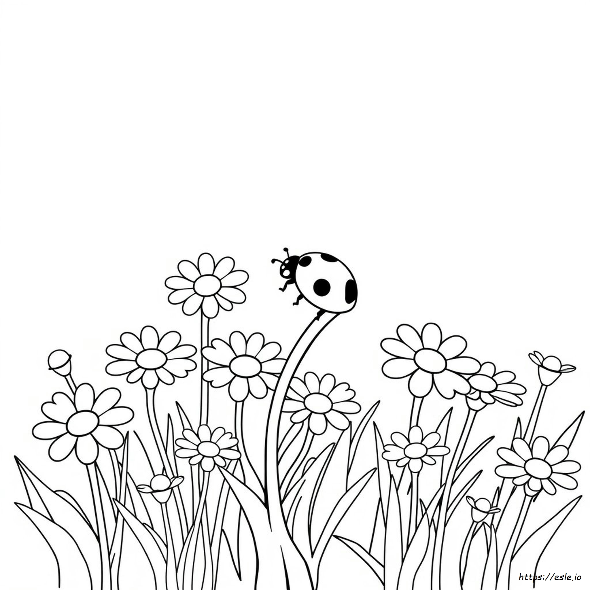 Coloring Page Of A Ladybug