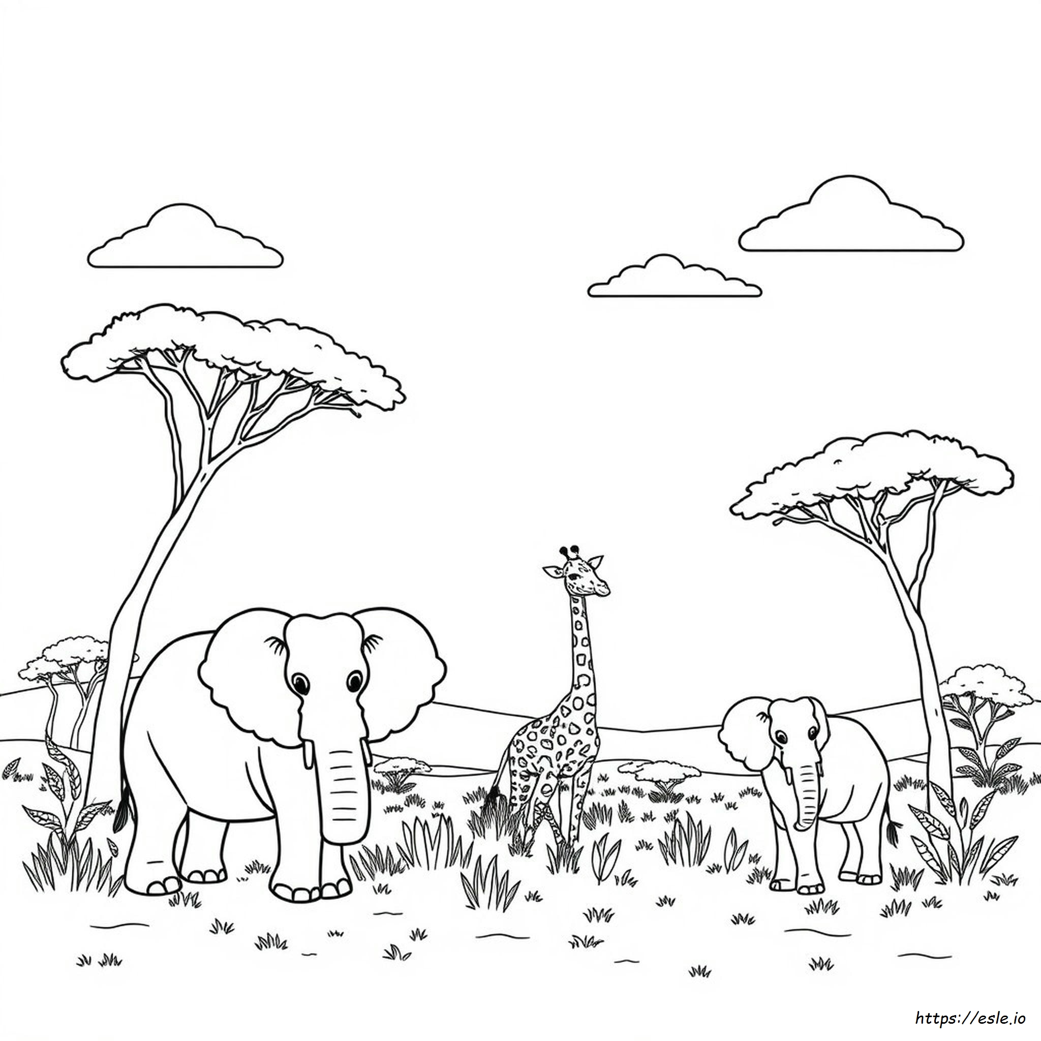 Free Printable Animal Coloring Pages For Adults Only