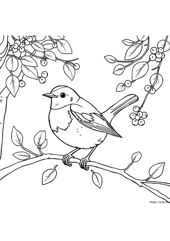 Printbare Roodborst Vogel Kleurplaten