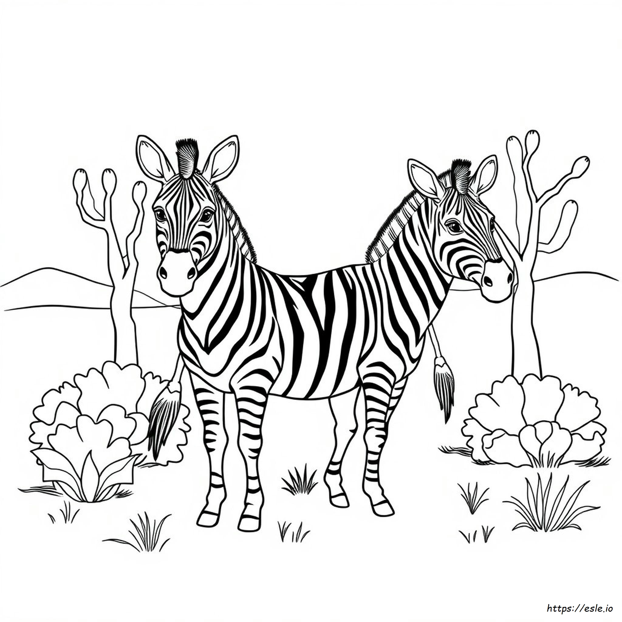 Free Printable Zebra Coloring Page