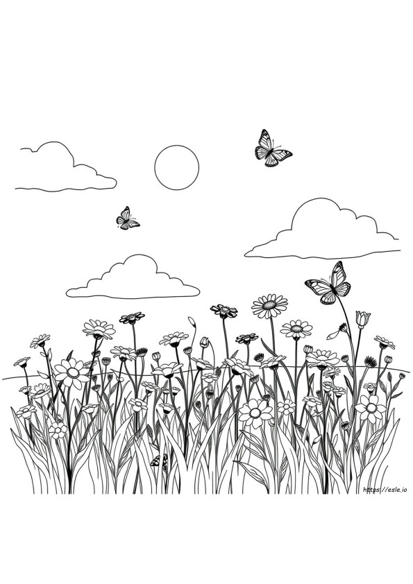 Wildblumen Ausmalbild