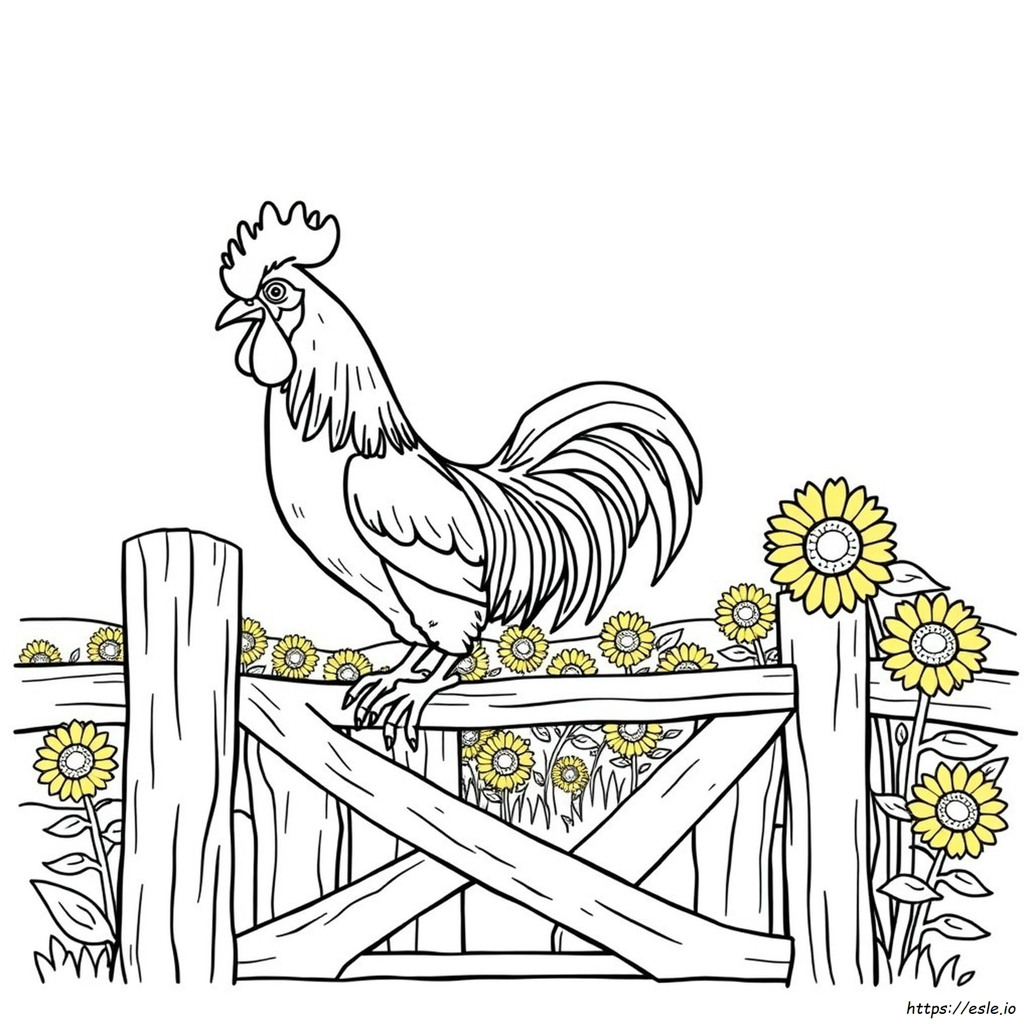 Adult Coloring Pages Rooster