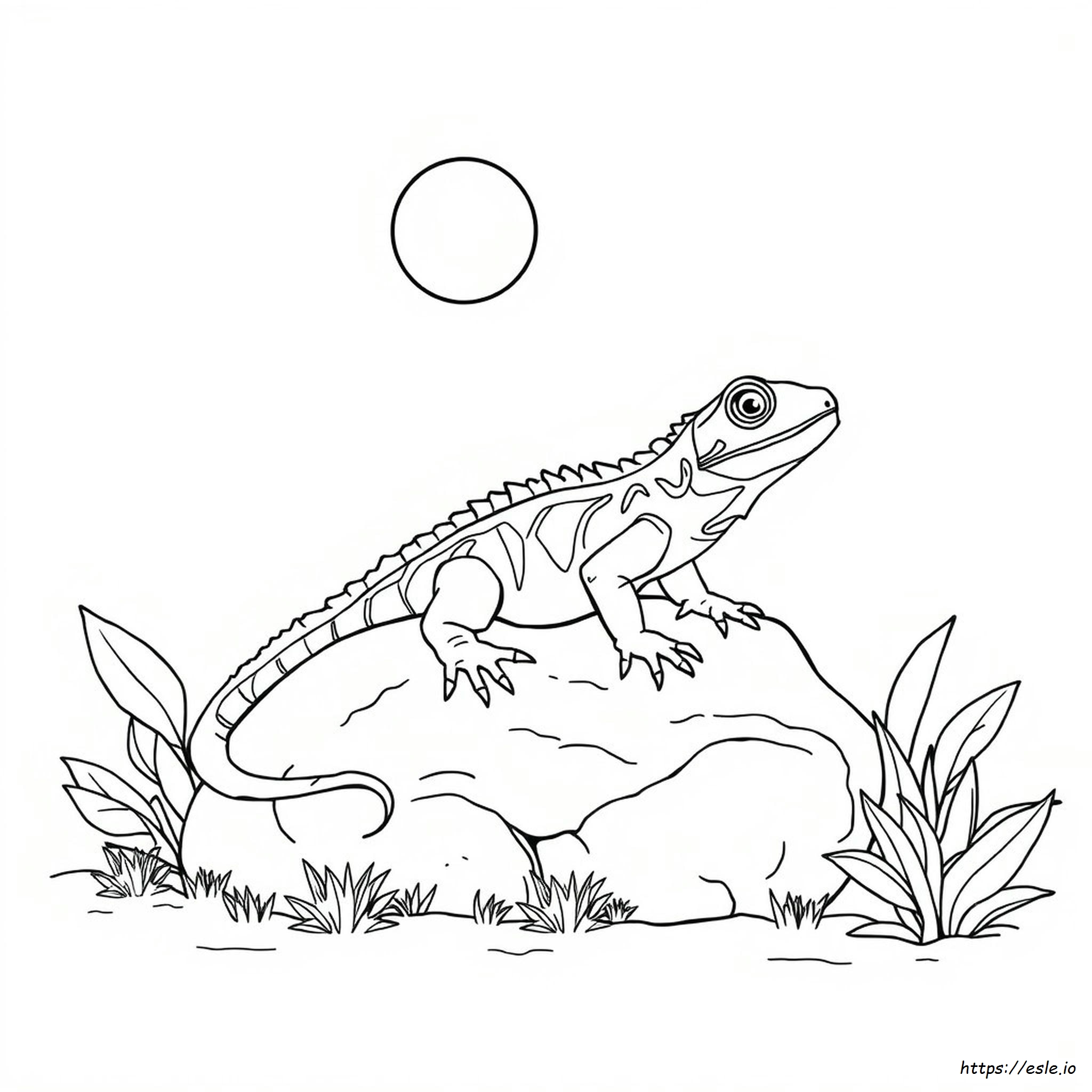 Reptile Coloring Pages - Free Printable PDF for Kids