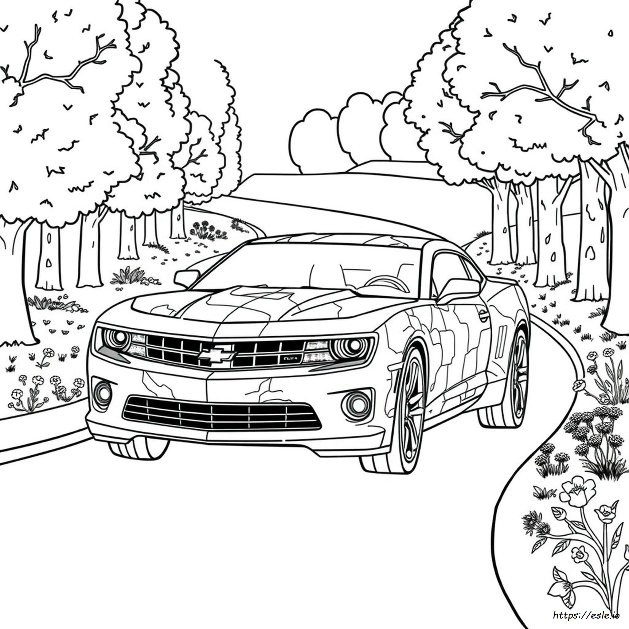 Disegni Da Colorare Camaro Gratis