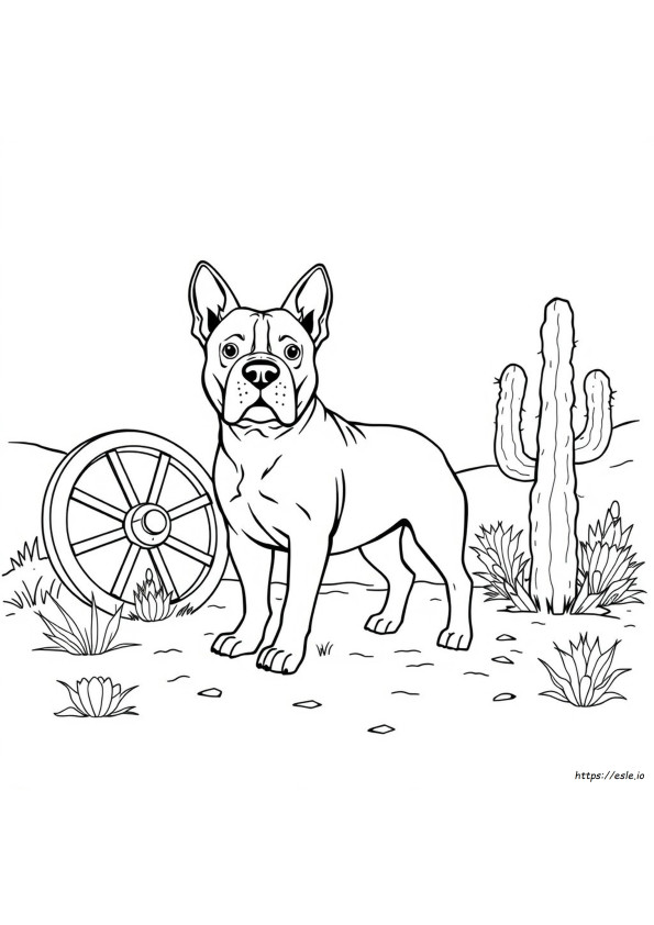 Western Bulldogs Colouring Pages