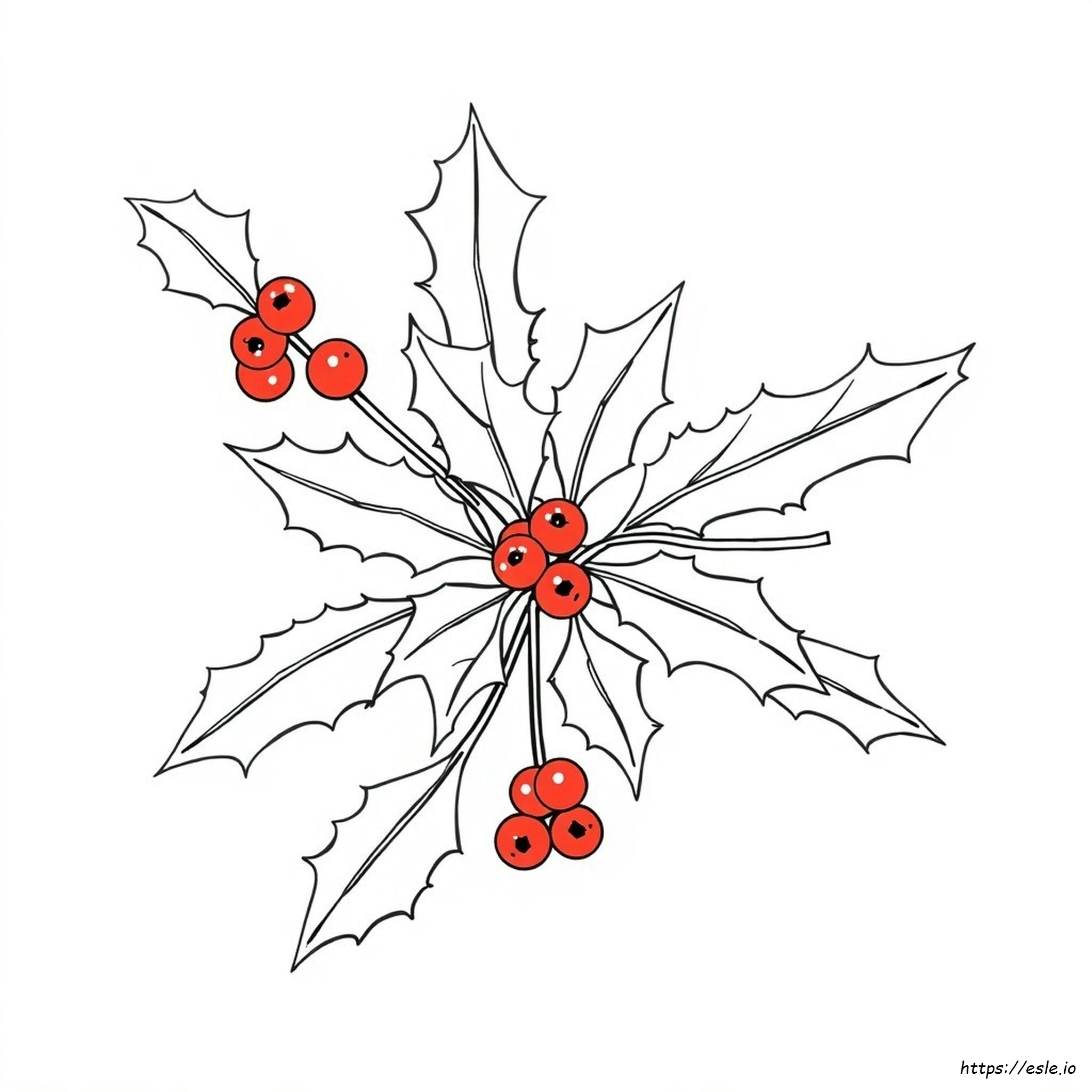 Disegni Di Agrifoglio Da Colorare - Pagina Stampabile Gratis