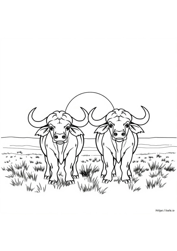 Buffalo Sabers Coloring Pages