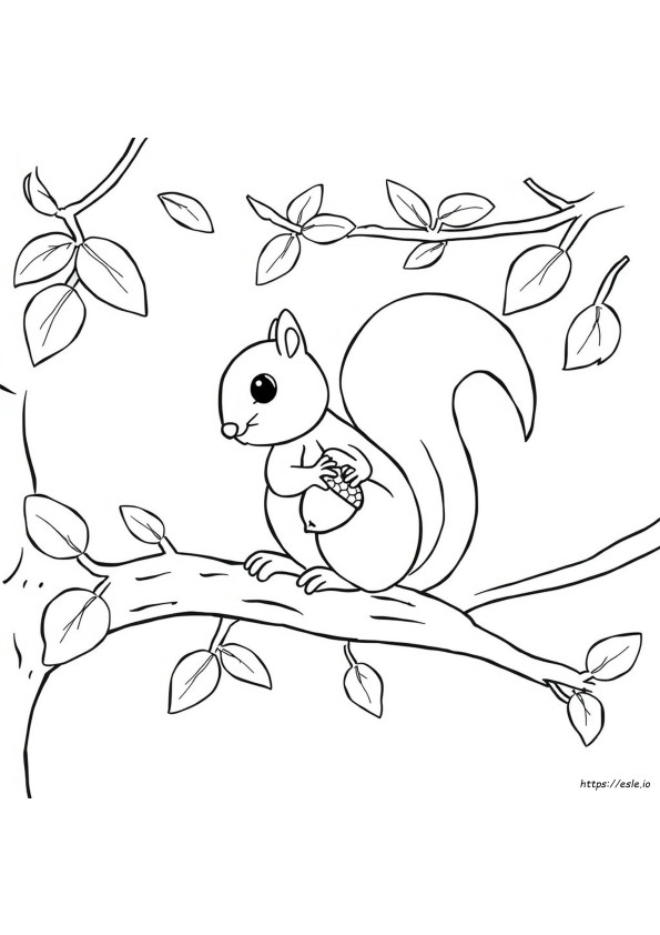 Black And White Squirrel Coloring Page