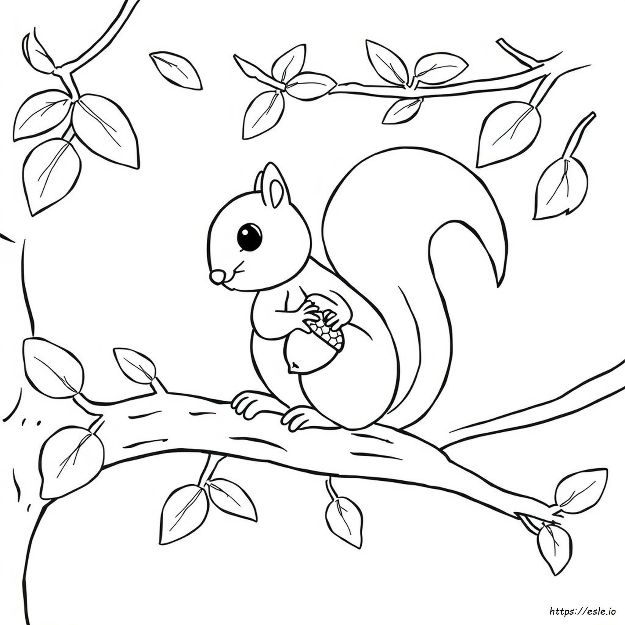 Black And White Squirrel Coloring Page