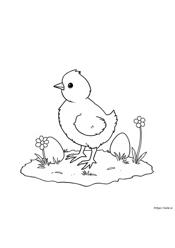 Pintinho Para Colorir Para Imprimir
