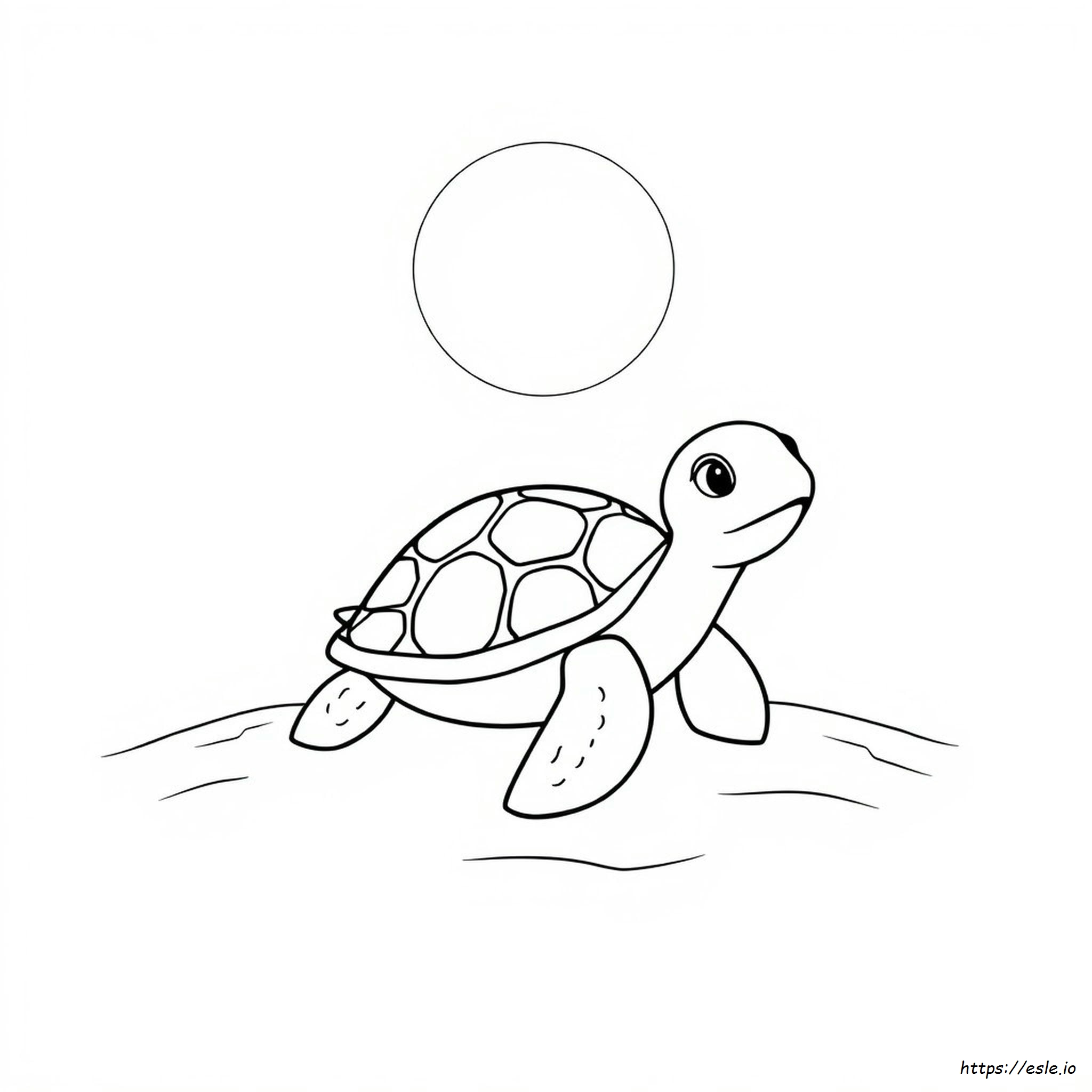 Kostenloses Ausmalbild Einer Süßen Schildkröte Zum Ausdrucken