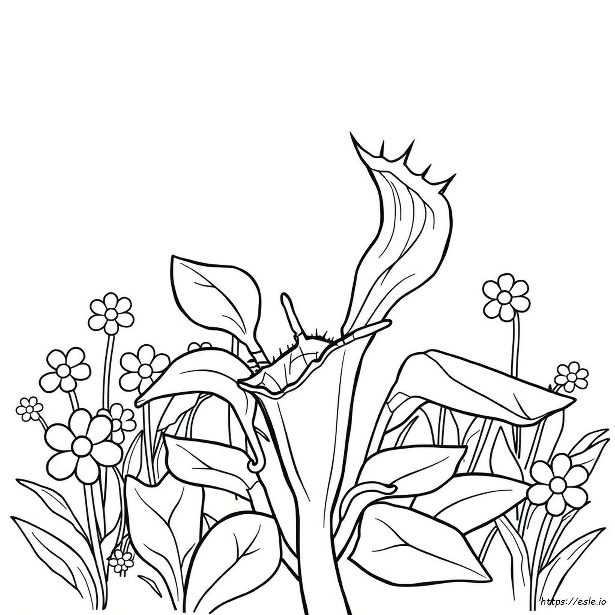 Venus Fly Trap Coloring Page - Free Printable for Kids