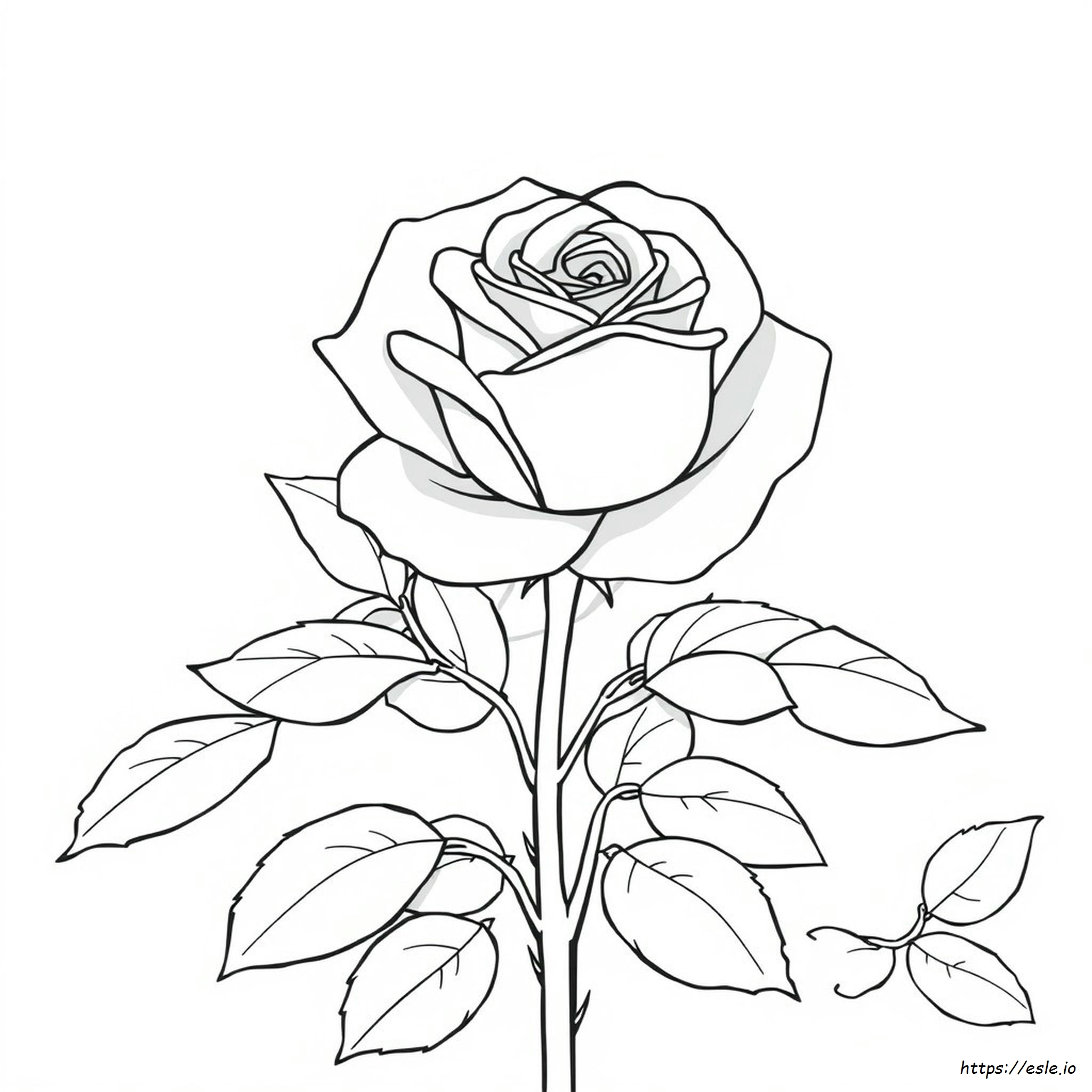 Rose Flower Coloring Page - Free Printable PDF for Adults