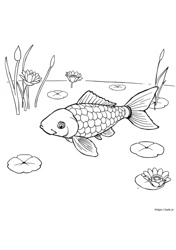Carpa Da Colorare