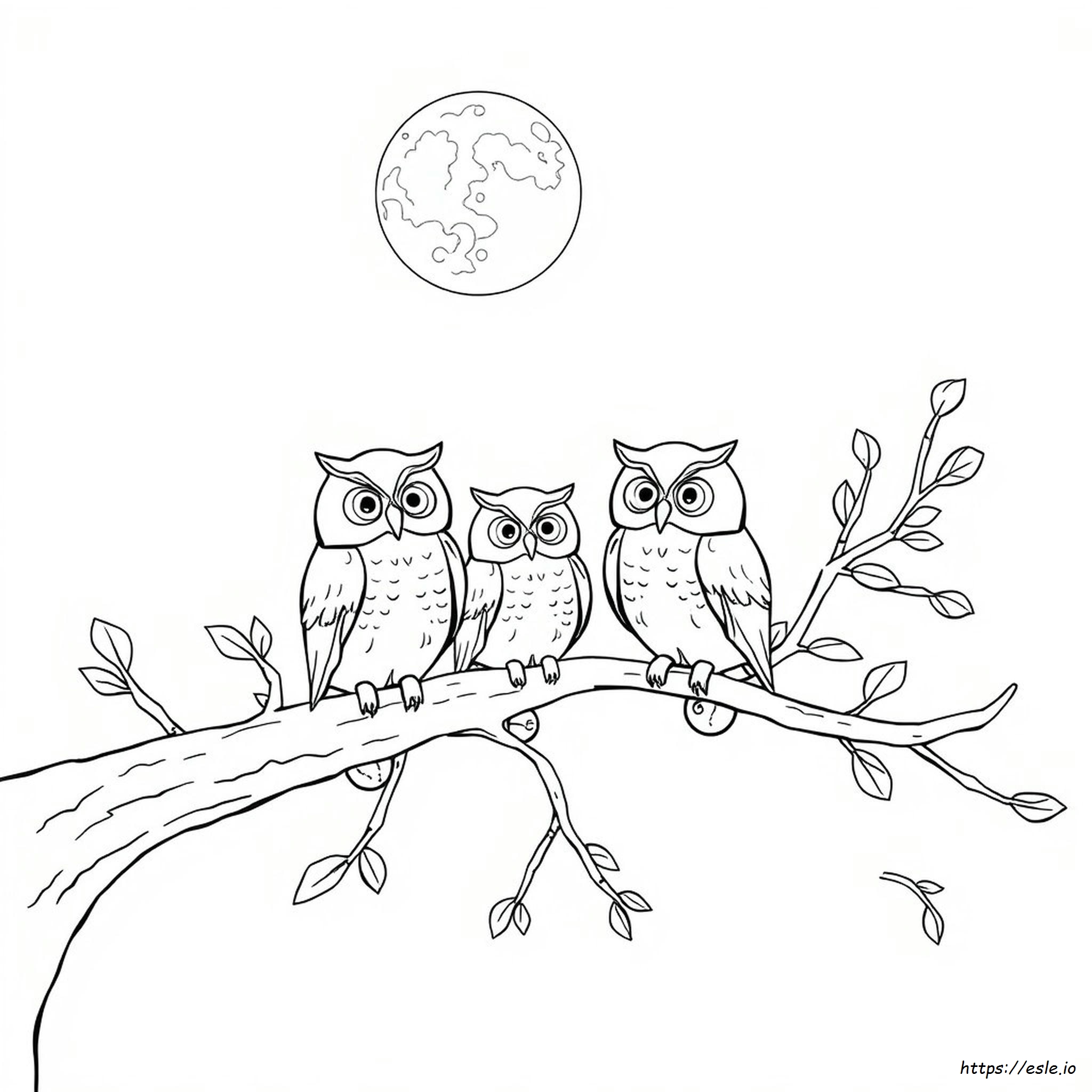 Printable Easy Owl Coloring Pages