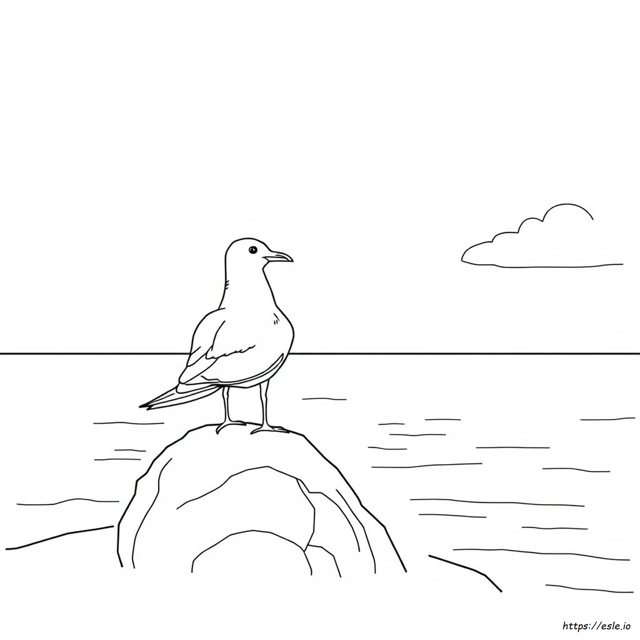 Are Seagulls Colorblind - Animal Coloring Page
