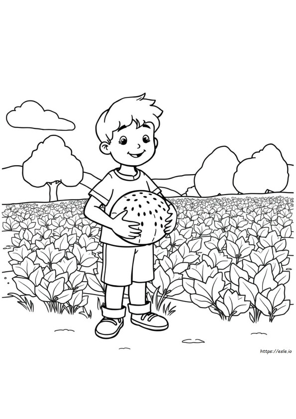 How To Color A Watermelon