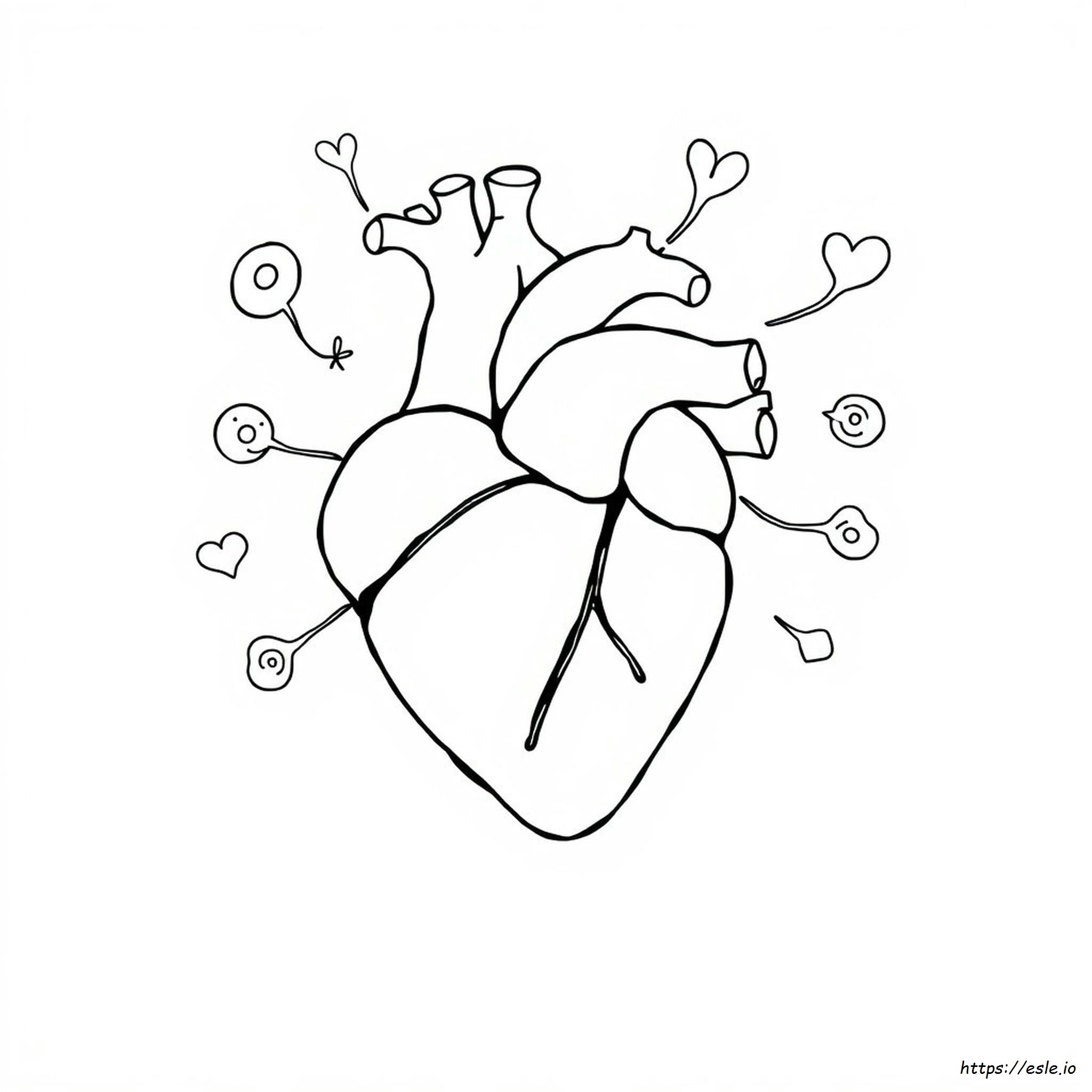 Free Printable Human Heart Coloring Page for Kids