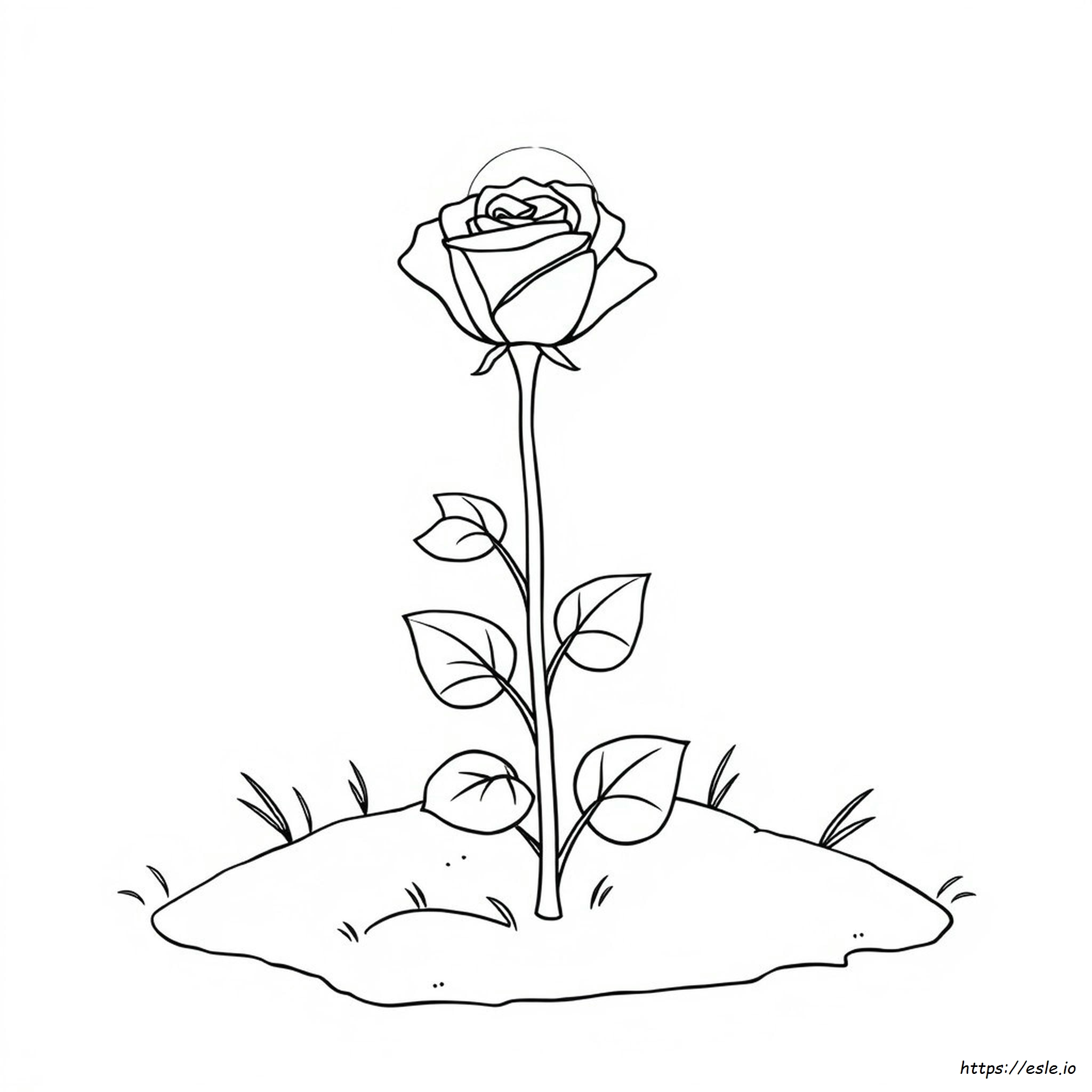 Rose Flower Coloring Pages - Free Printable PDF