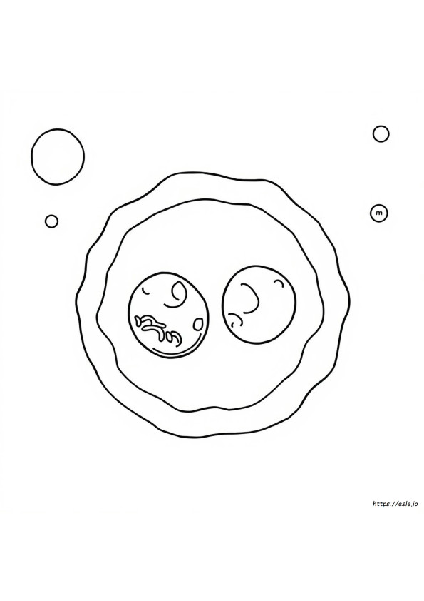 Cell Coloring Activity