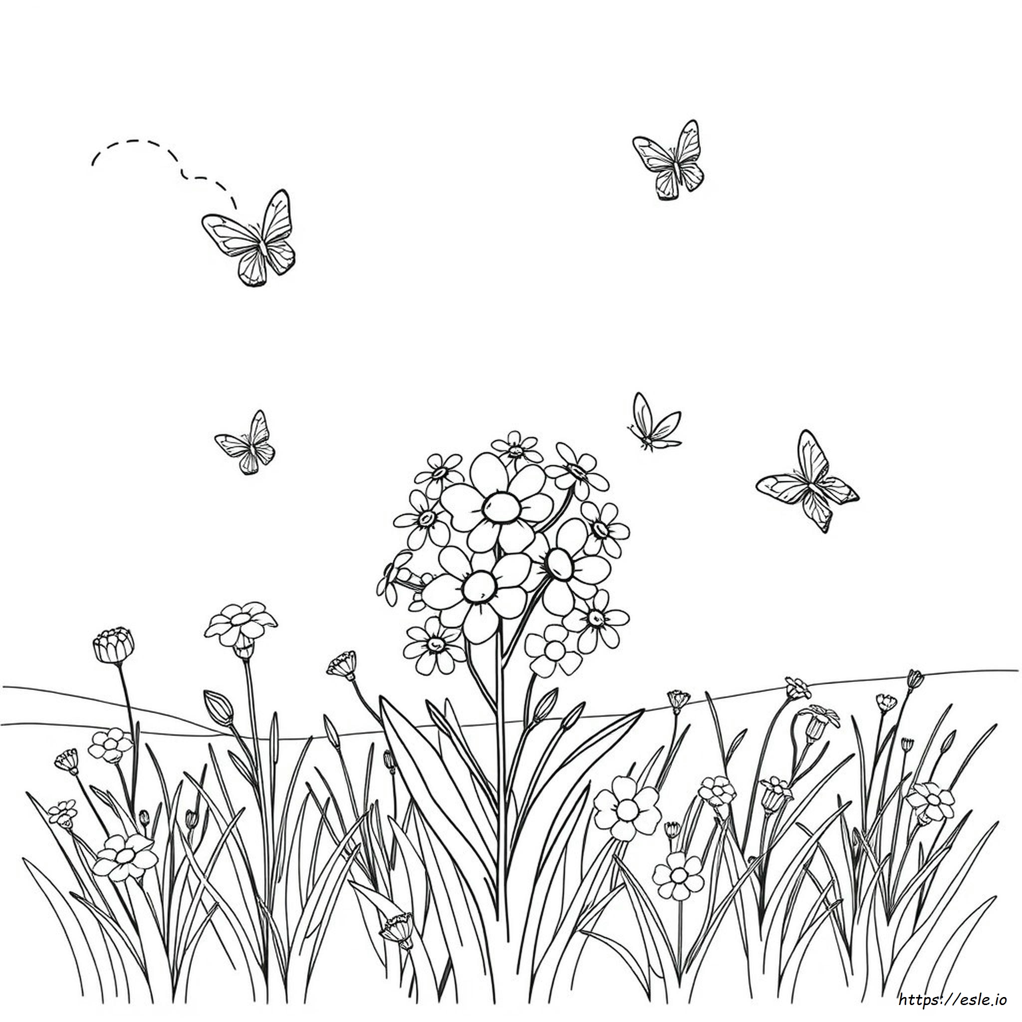 Free Spring Coloring Pages For Kindergarten