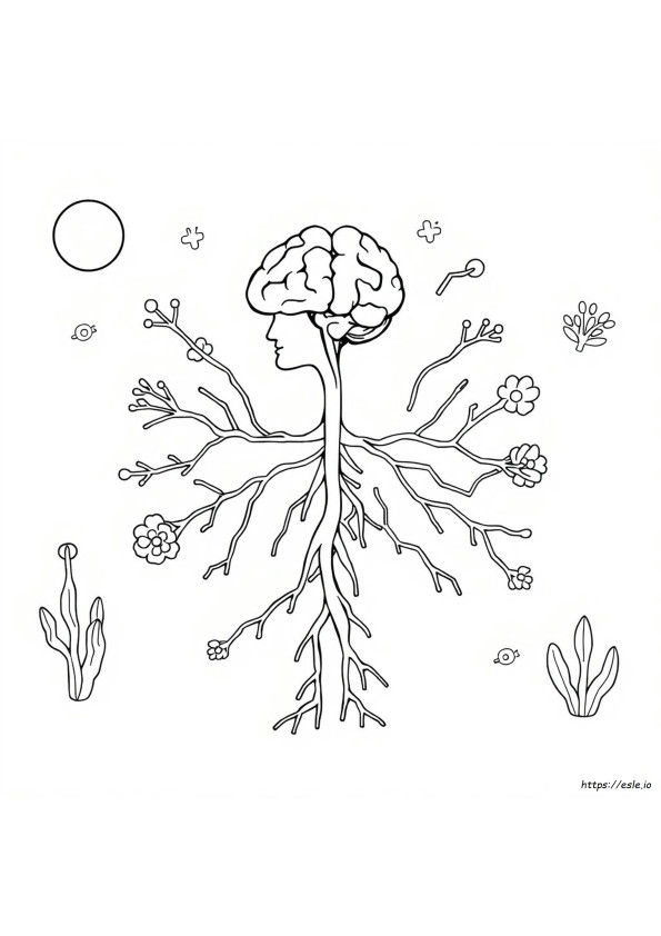 Printable Nervous System Coloring Worksheet