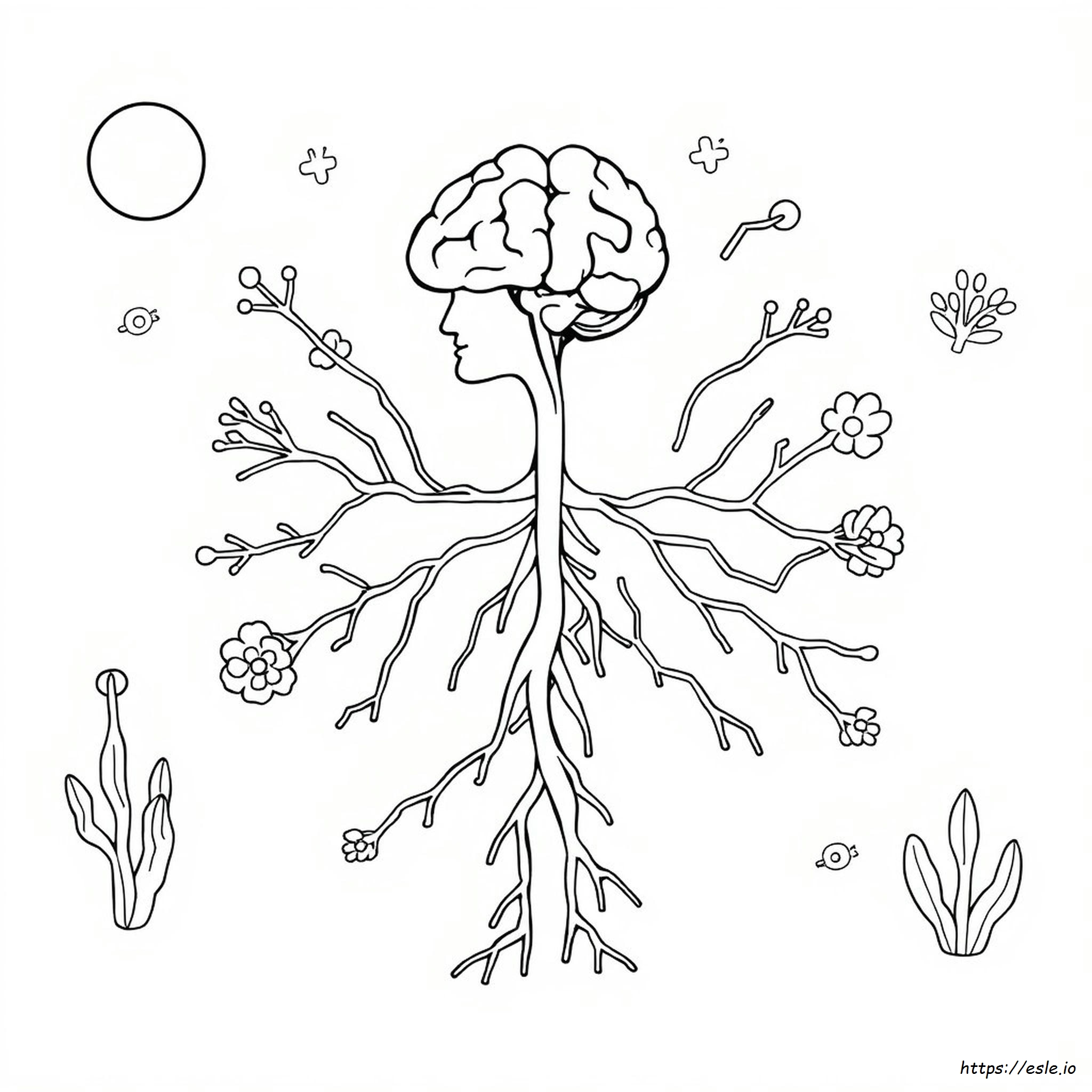 Dibujo Para Colorear El Sistema Nervioso Imprimible