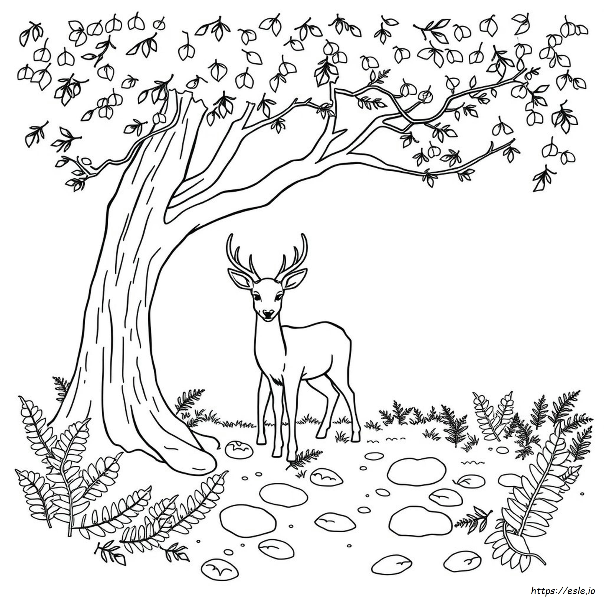Woodland Coloring Pages For Adults