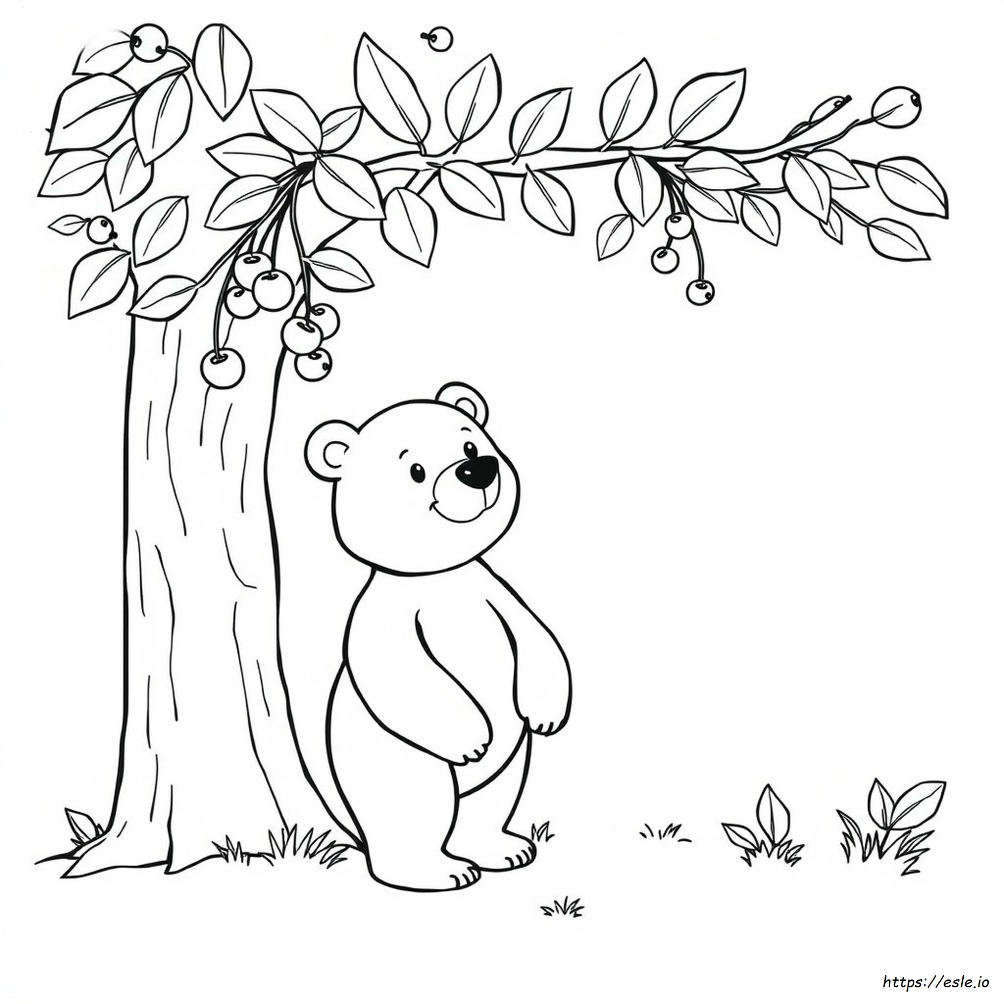 Dibujos De Osos Para Colorear - Imprimible Gratis